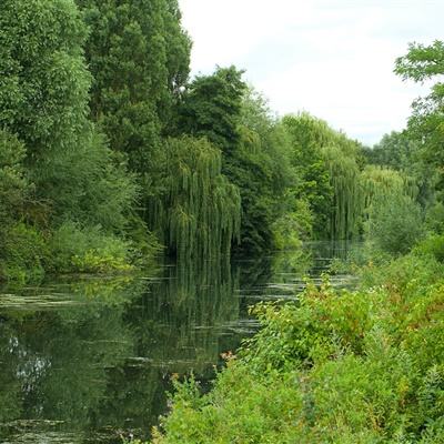 火狐官网app下载